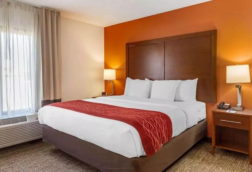 酒店 Comfort Inn Greensboro  Kernersville