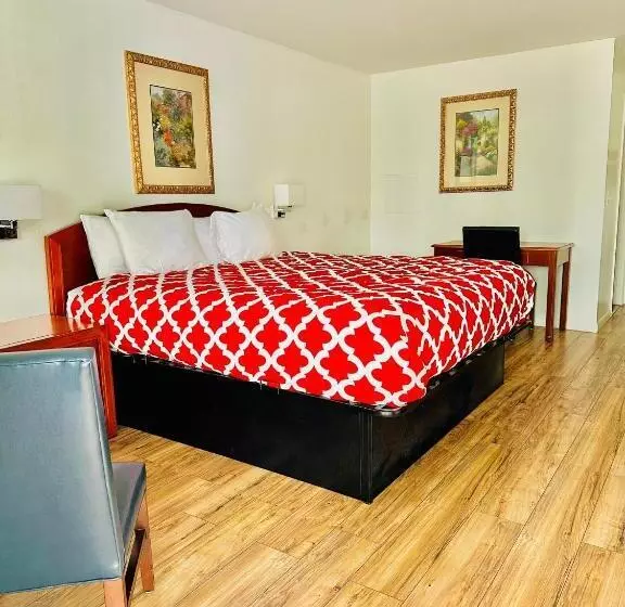 酒店 Hampton Motor Inn