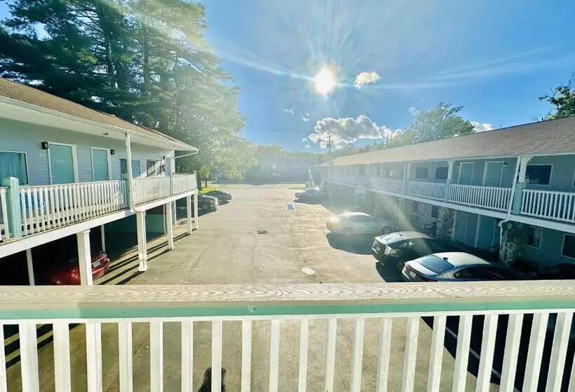 酒店 Hampton Motor Inn