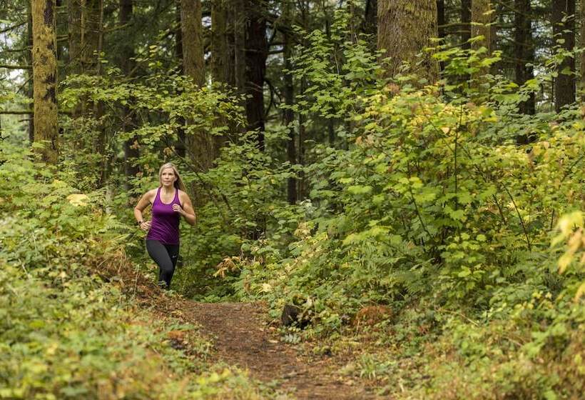 酒店 Skamania Lodge
