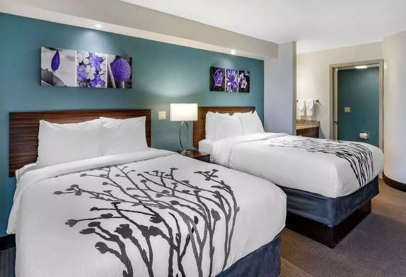 هتل Sleep Inn Clearwaterst Petersburg