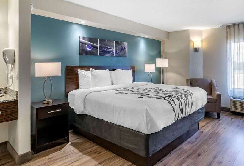 ホテル Sleep Inn Clearwaterst Petersburg