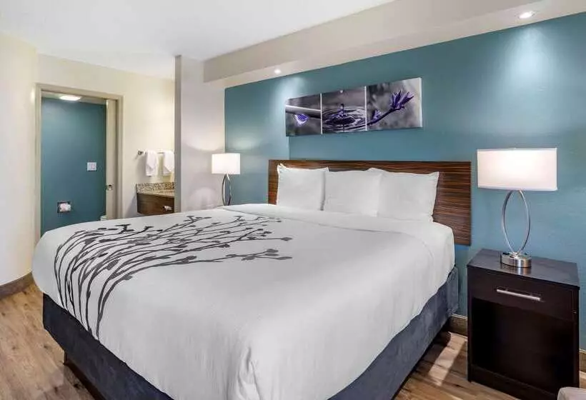 هتل Sleep Inn Clearwaterst Petersburg
