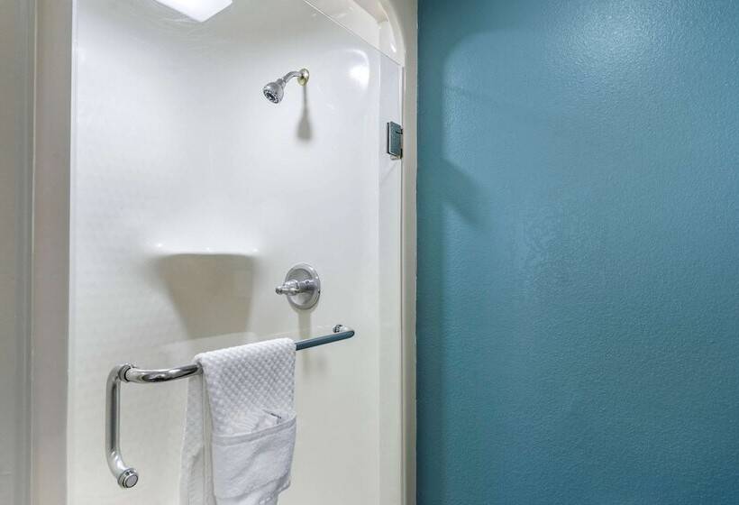 ホテル Sleep Inn Clearwaterst Petersburg