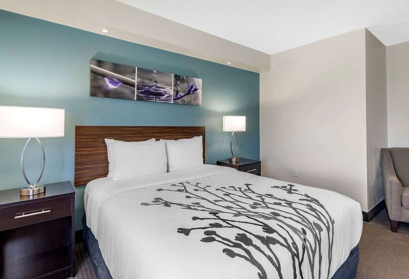 ホテル Sleep Inn Clearwaterst Petersburg