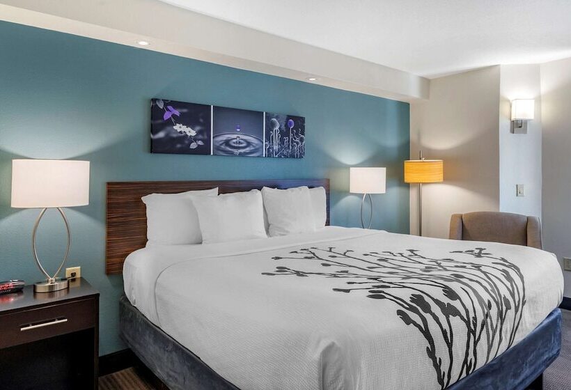 ホテル Sleep Inn Clearwaterst Petersburg