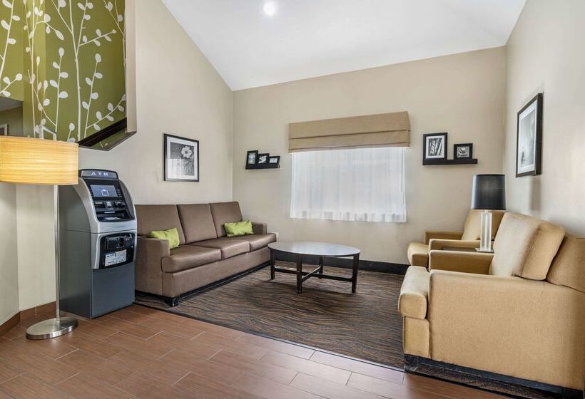 ホテル Sleep Inn Naperville   Chicago