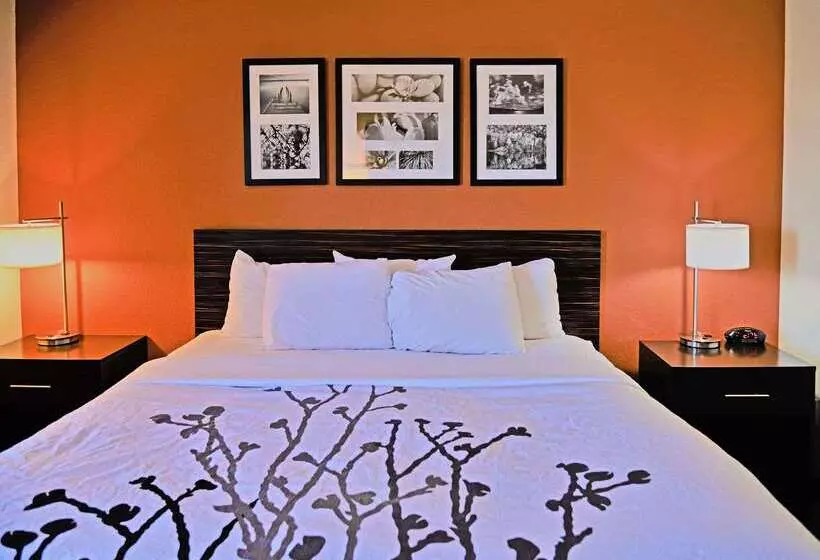 هتل Sleep Inn & Suites Spring Lake Fayetteville Near Fort Liberty