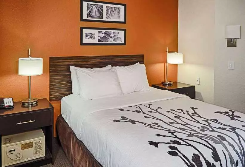 هتل Sleep Inn & Suites Spring Lake Fayetteville Near Fort Liberty