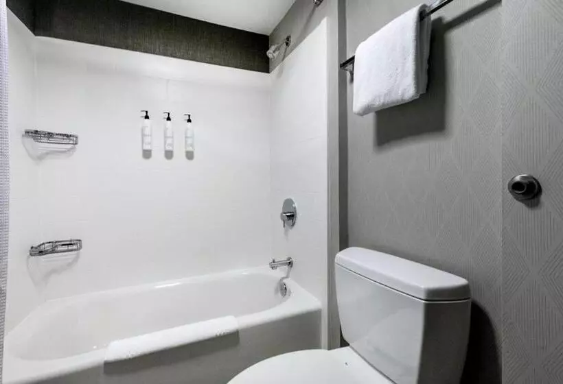 酒店 Springhill Suites Anchorage Midtown