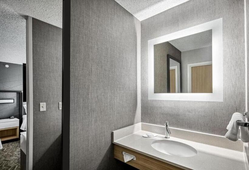 Otel Springhill Suites Anchorage Midtown