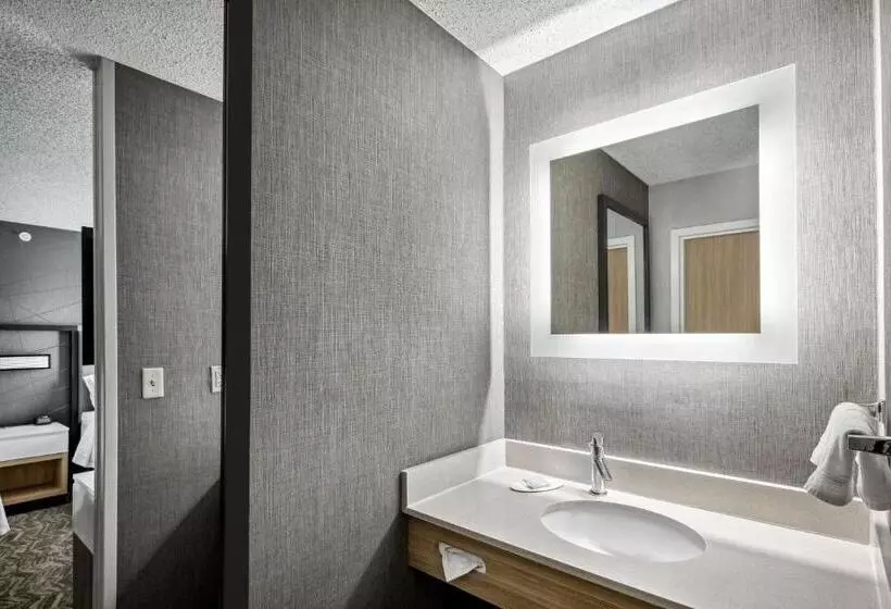 酒店 Springhill Suites Anchorage Midtown