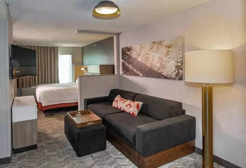 酒店 Springhill Suites Anchorage Midtown