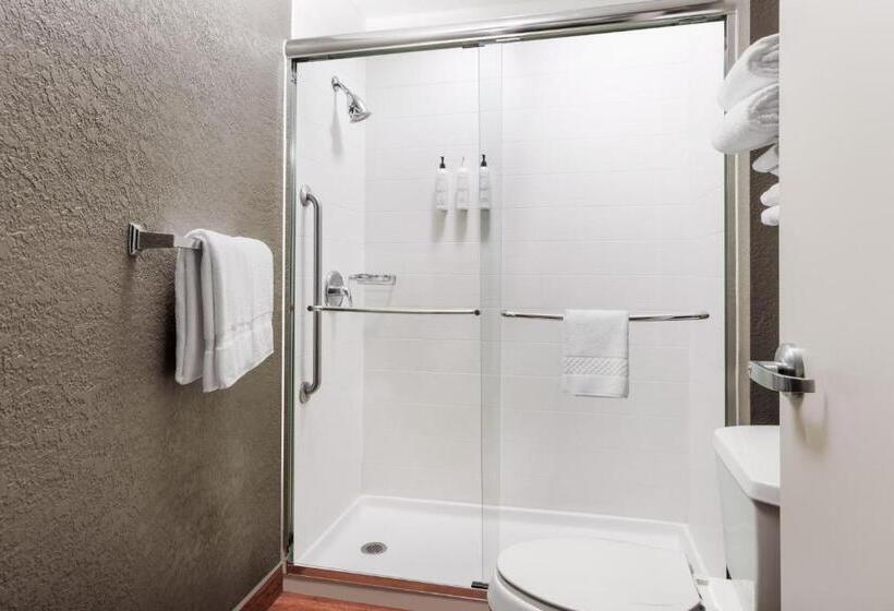 ホテル Springhill Suites Providence West Warwick