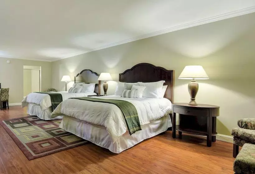 ホテル Stanford Terrace Inn