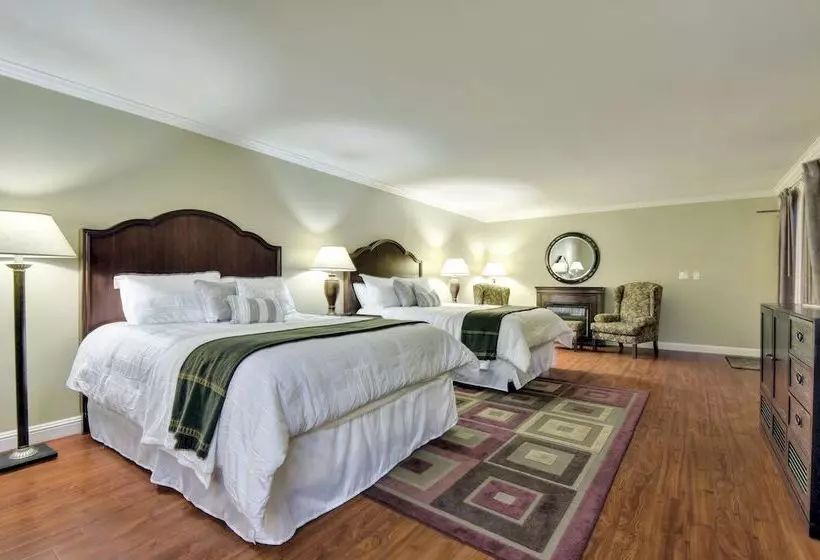 ホテル Stanford Terrace Inn