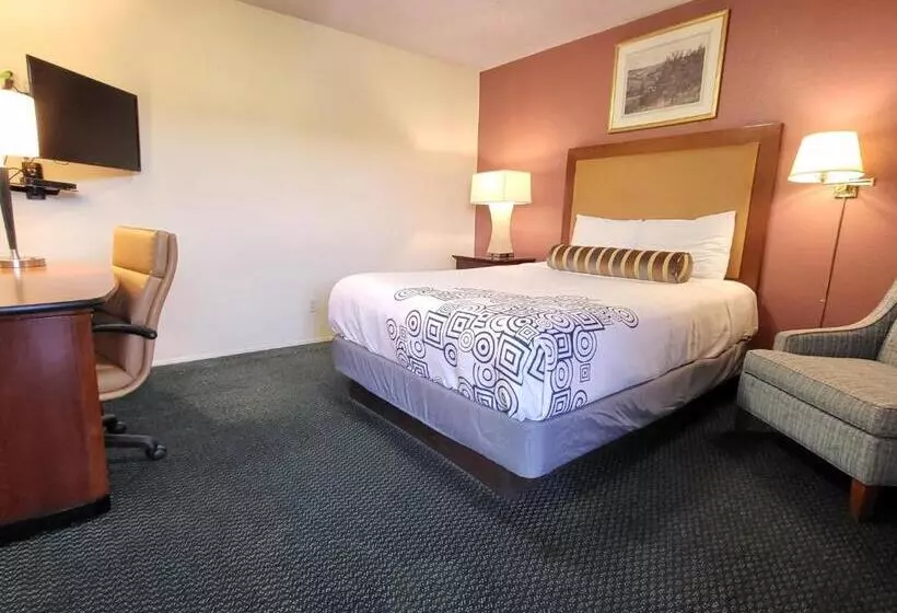 酒店 Star Inn On Route 66, Barstow