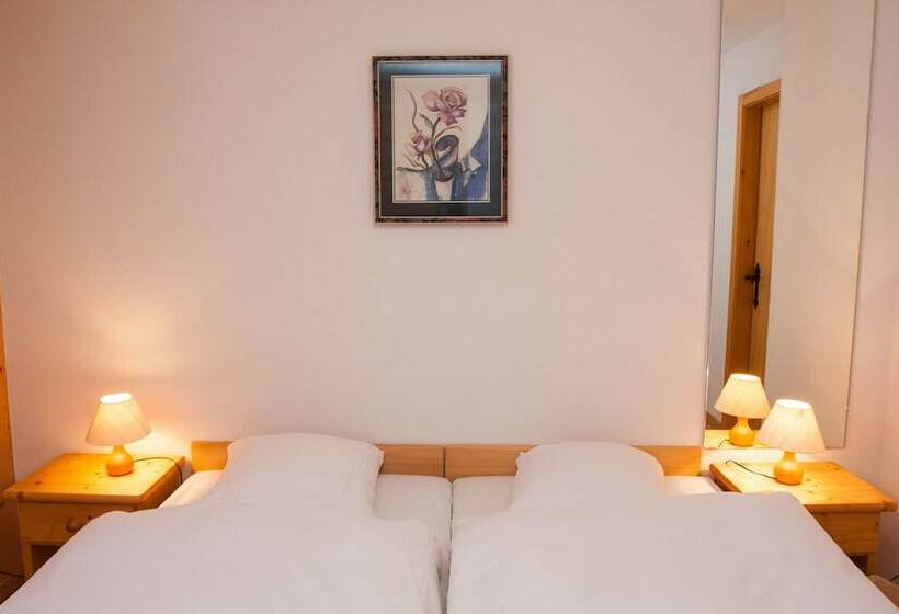 בית מלון כפרי Les Bains D'ovronnaz