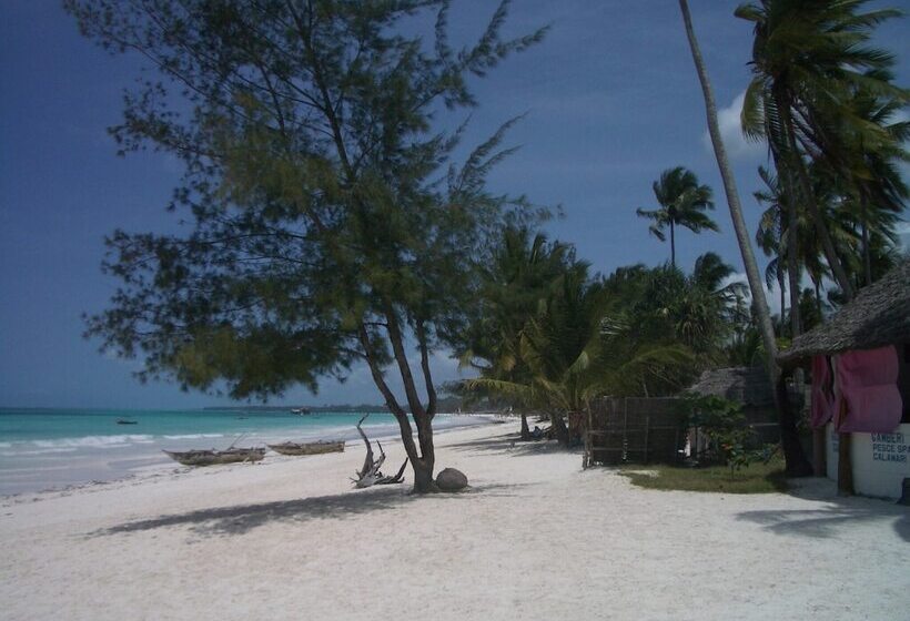 Kamili View Apartment In Zanzibar