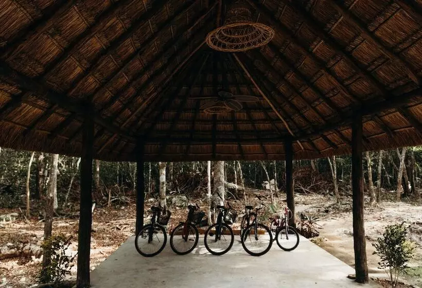 Eco Lodge By Biwa