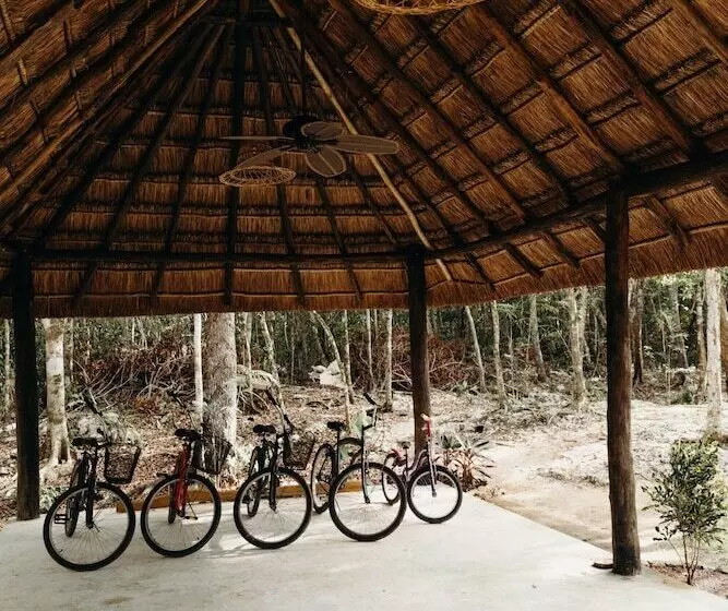 Eco Lodge By Biwa