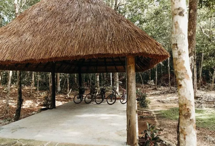 Eco Lodge By Biwa