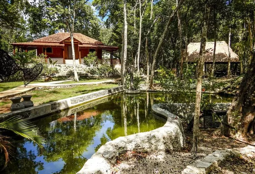 Eco Lodge By Biwa