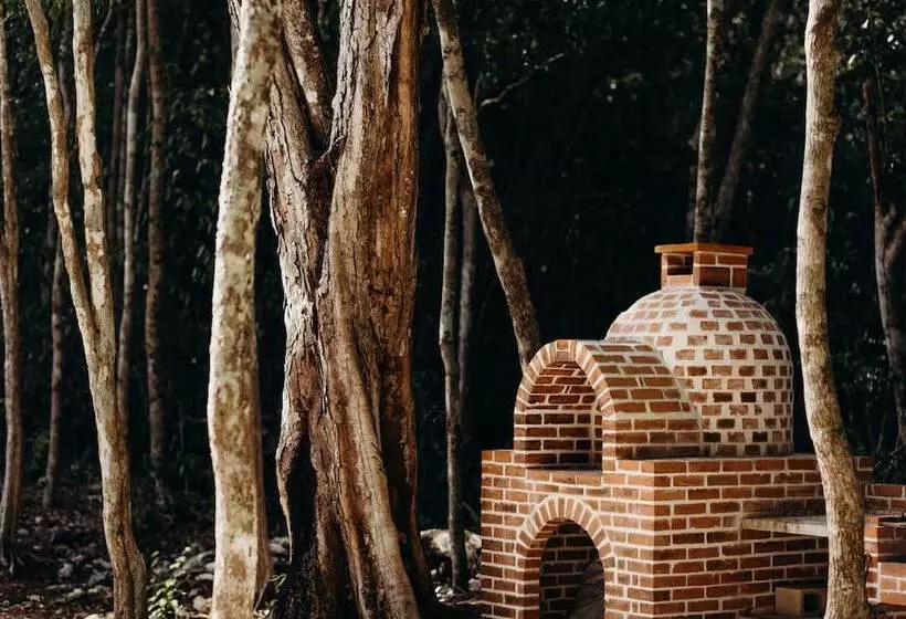 Eco Lodge By Biwa