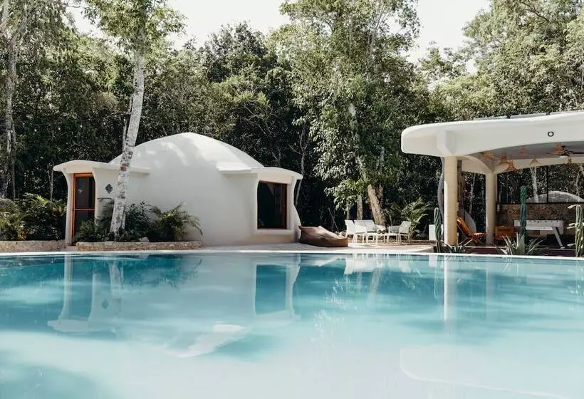Eco Lodge By Biwa