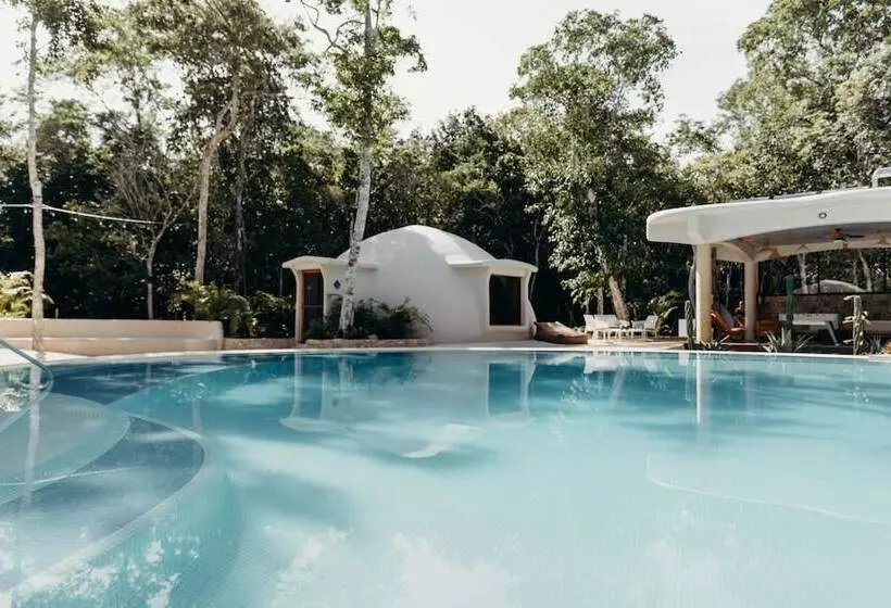 Eco Lodge By Biwa