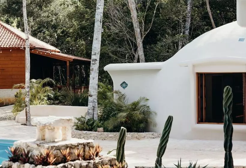 Eco Lodge By Biwa