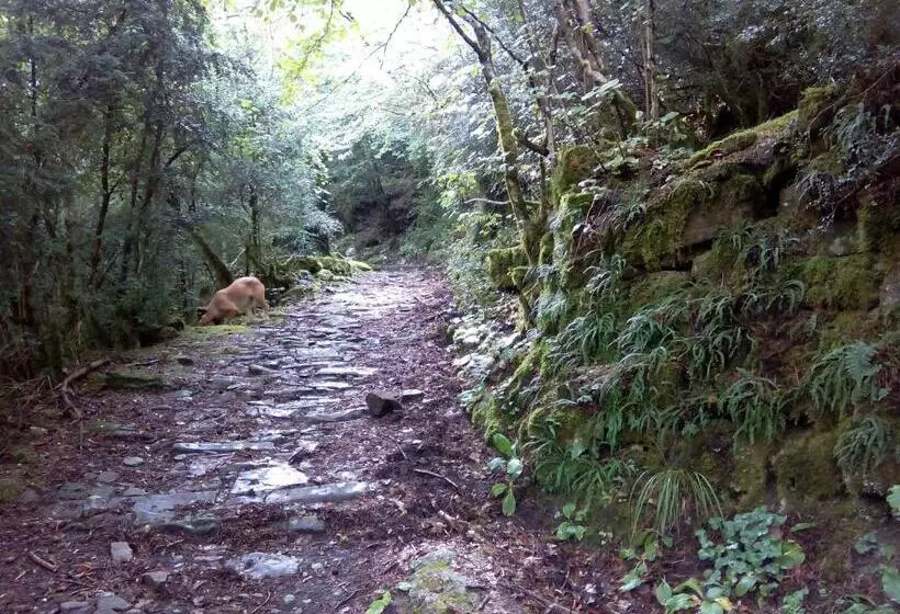 Albergue El último Bucardo