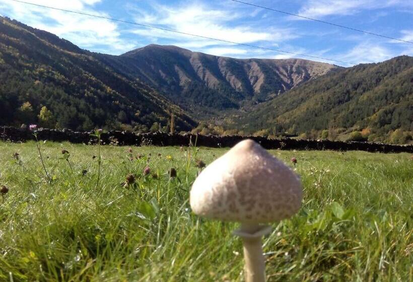 Albergue El último Bucardo