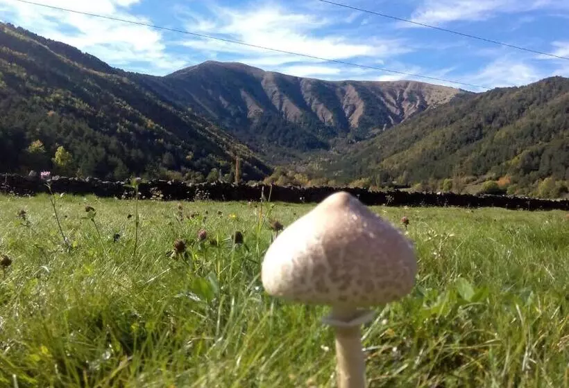 Albergue El último Bucardo