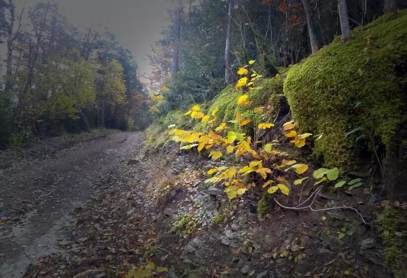 Albergue El último Bucardo