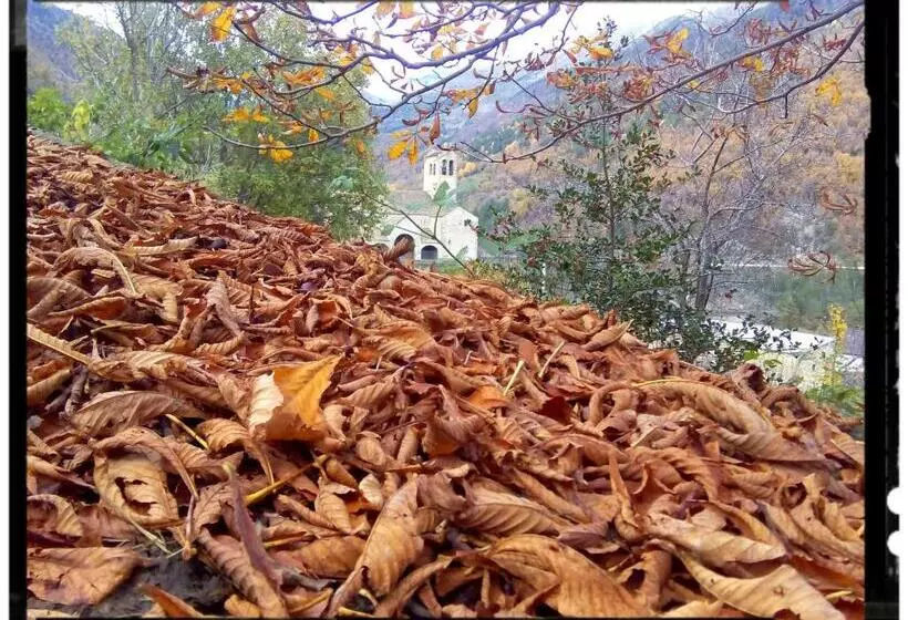 Albergue El último Bucardo