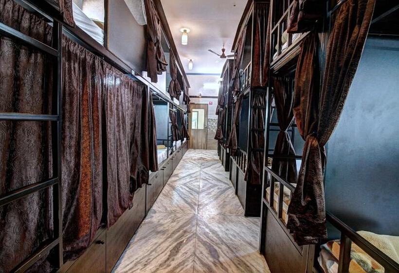 هاستل Sunshine Backpackers