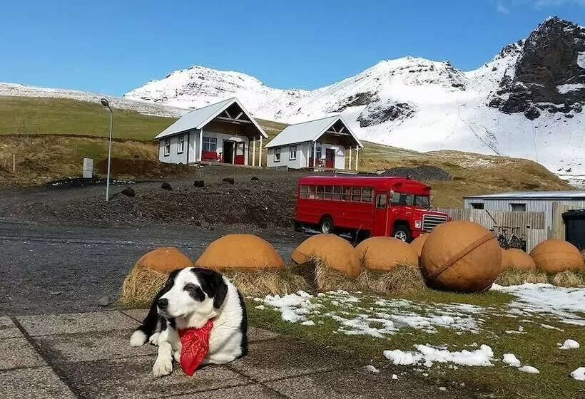 Norður Vík