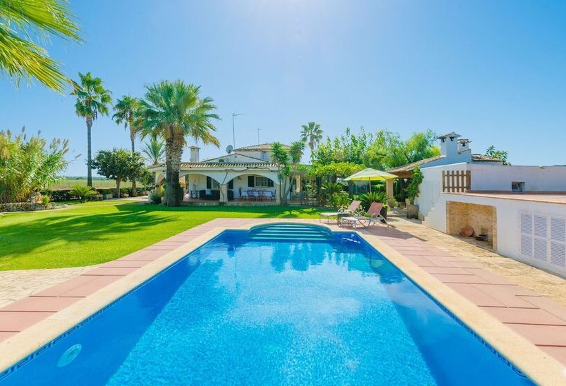 Santa Eulalia Petit In Muro