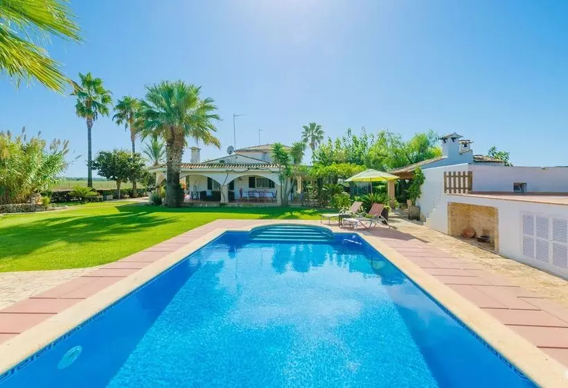 Santa Eulalia Petit In Muro