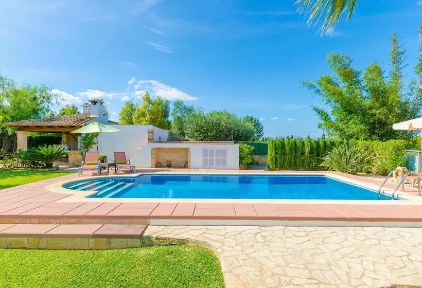 Santa Eulalia Petit In Muro