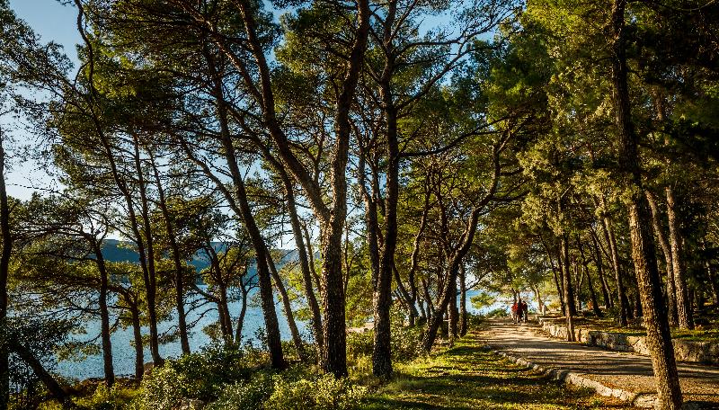 酒店 Helios Sunny Apartments By Valamar