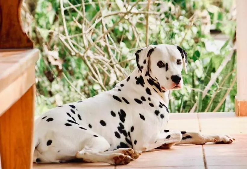 هتل Manurii Garden