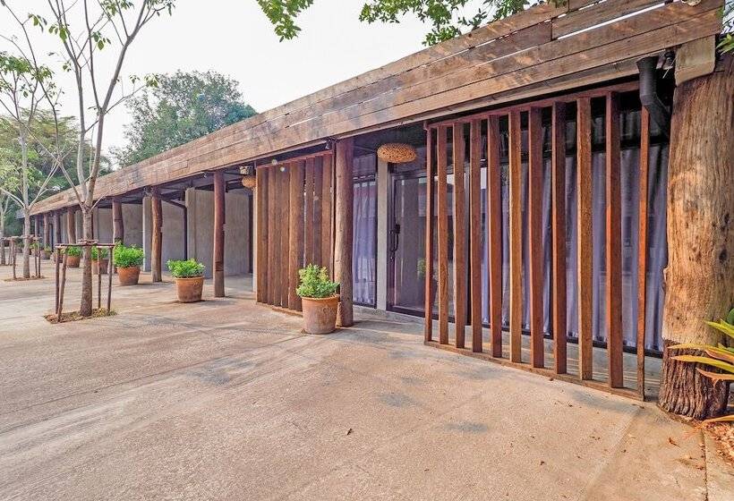 فندق Ngeeb Bed & Breakfast