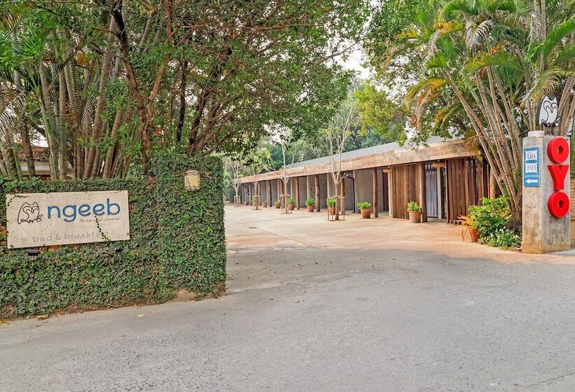 فندق Ngeeb Bed & Breakfast