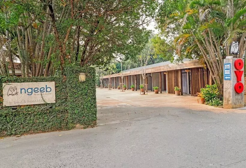ホテル Ngeeb Bed & Breakfast