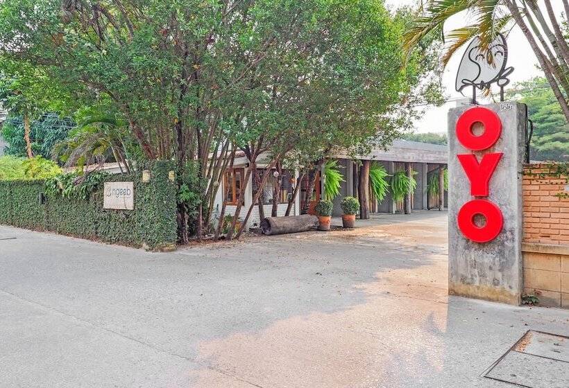 فندق Ngeeb Bed & Breakfast