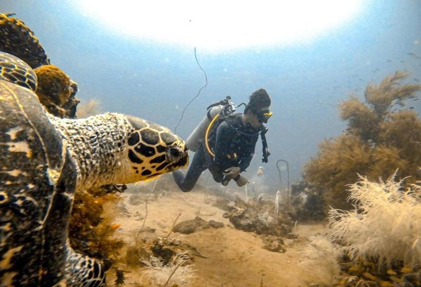 Отель Layag Resort