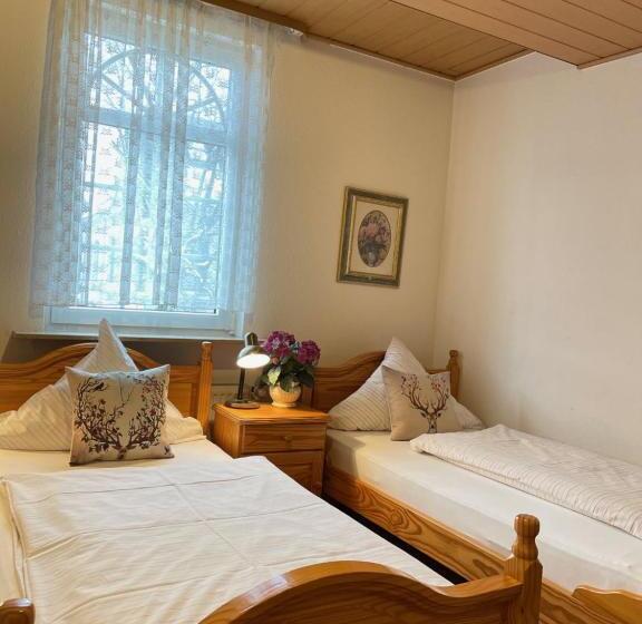 Отель Alt Lennep