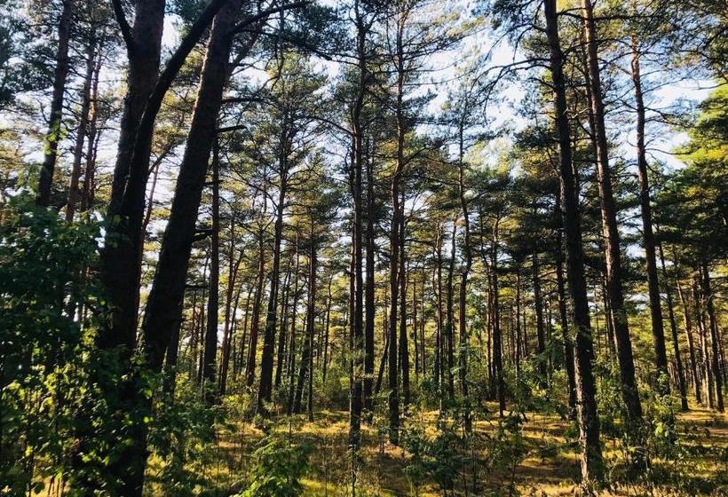 Skrea Vandrarhem Hostel